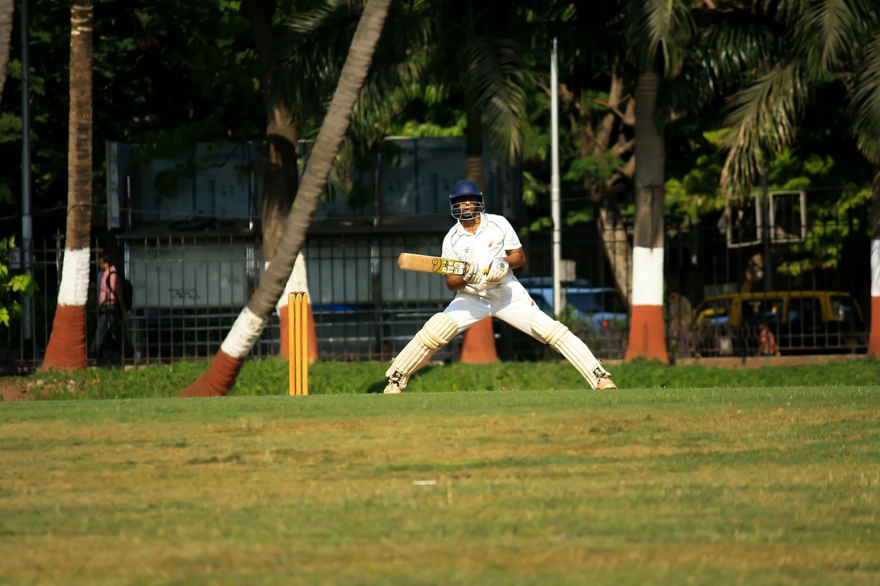 cricket batsman player free photo