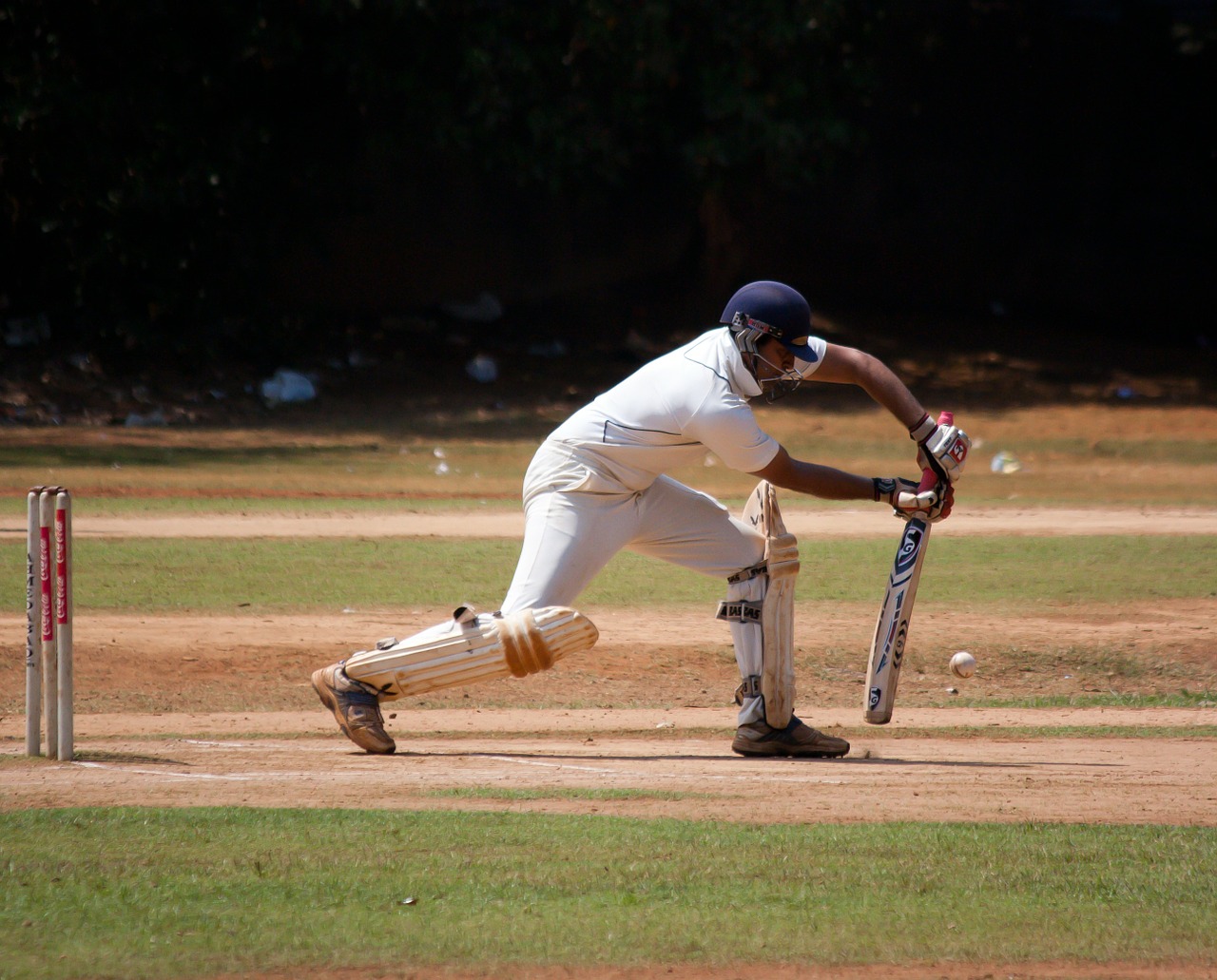 cricket cricketer batting free photo