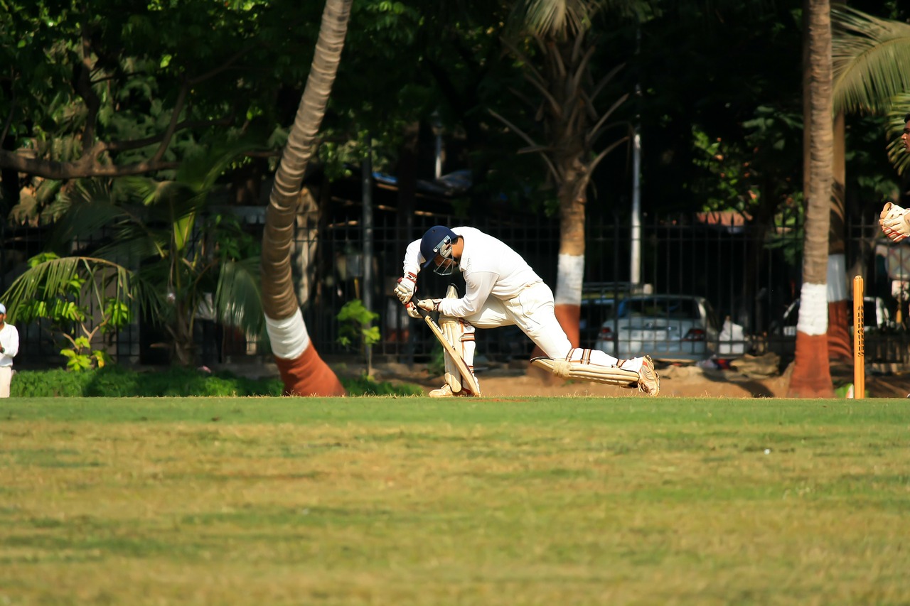 cricket batting sports free photo