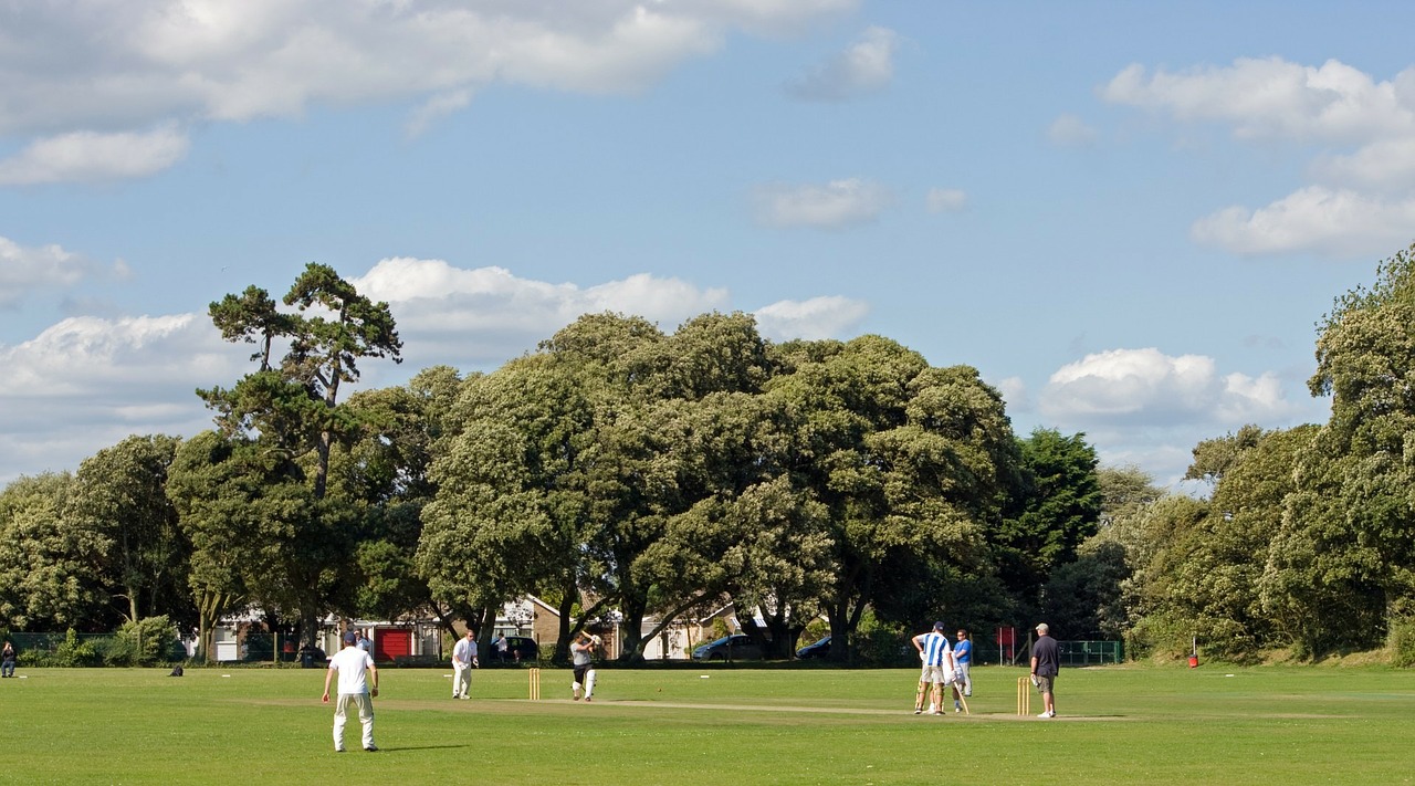 cricket match cricket match free photo