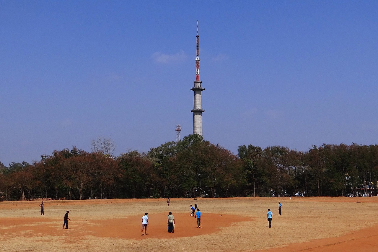 cricket sports practice free photo