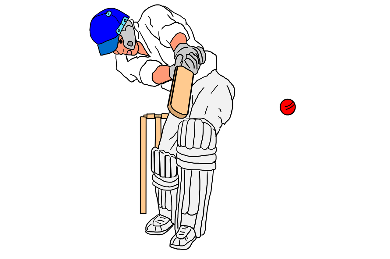 Cricket, cricket sport, ball game, ball and bat, bat - free image from needpix.com