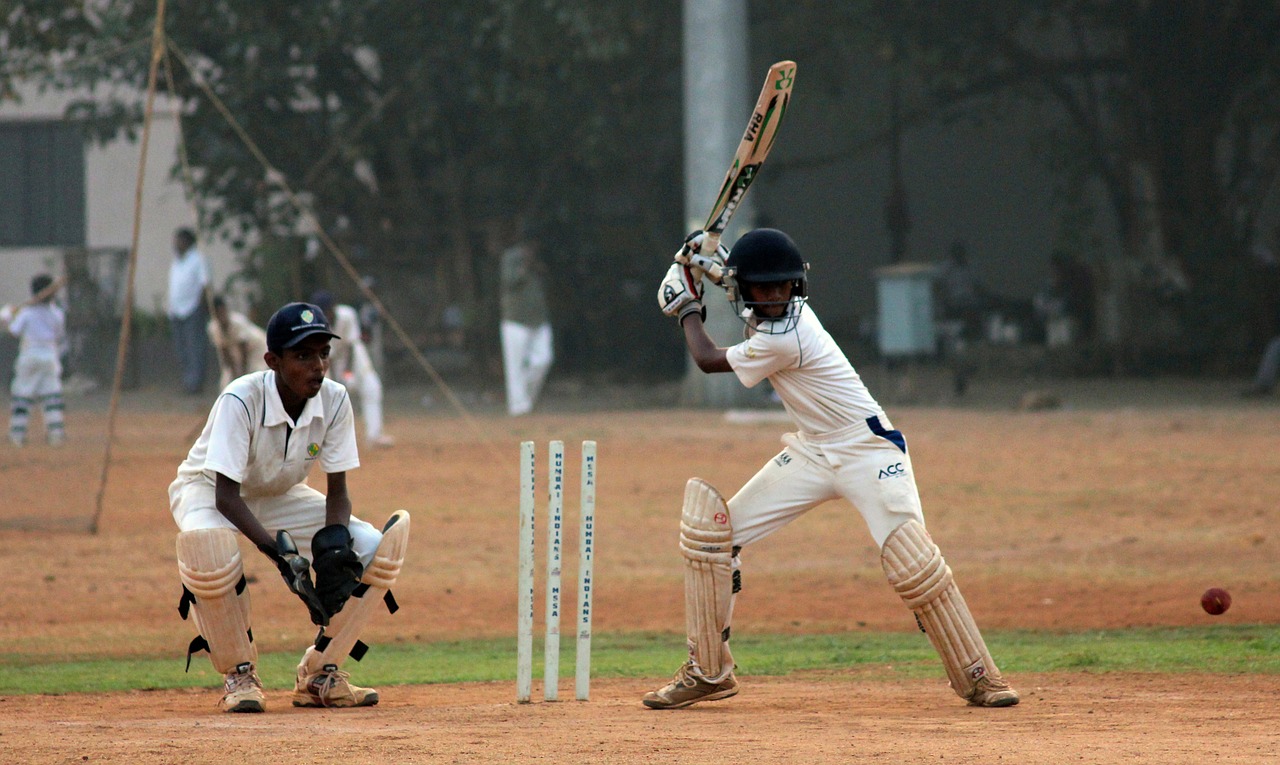 cricket batsman ball game free photo