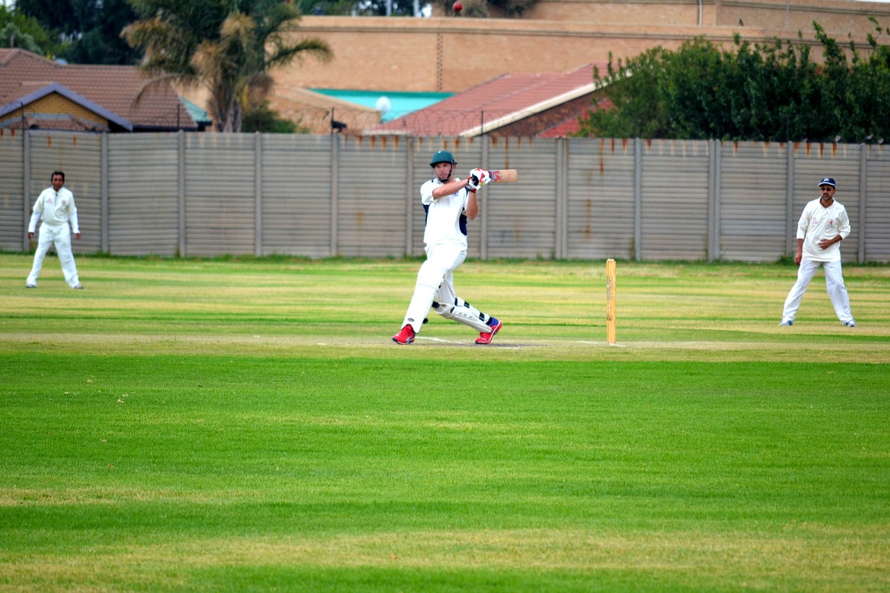 cricket shot sport free photo