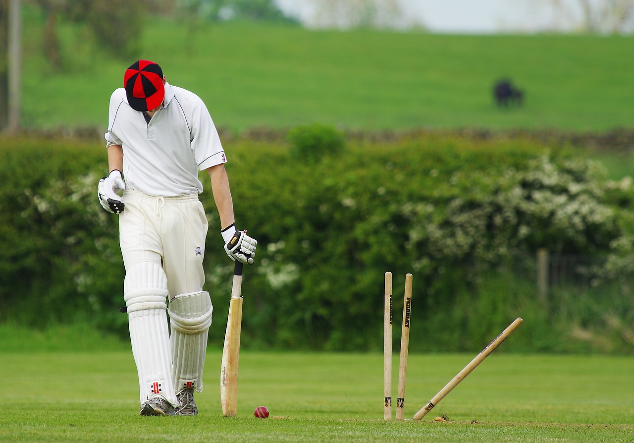 cricket stumps ball free photo