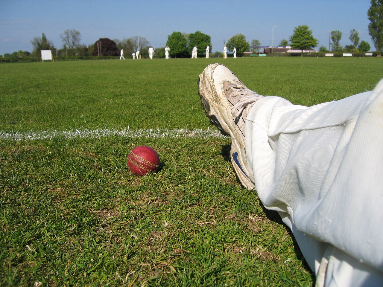 cricket ball boundary free photo