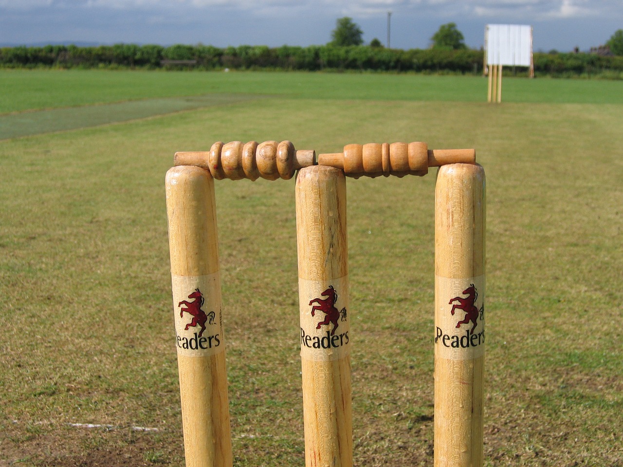 cricket stumps bails free photo