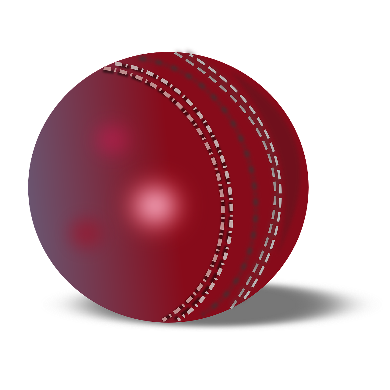 cricket ball cricket ball free photo
