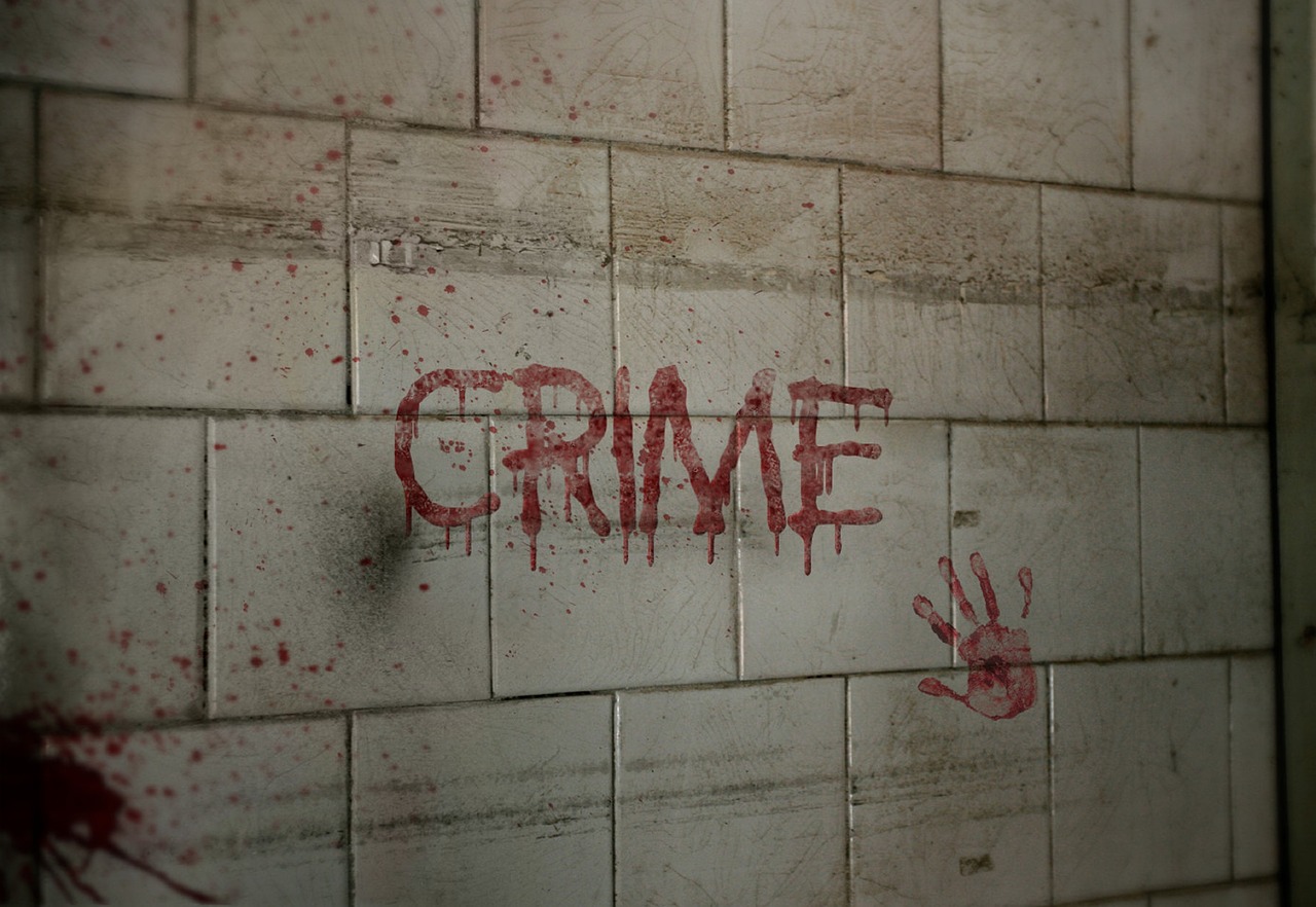 crime  crime scene  murder free photo