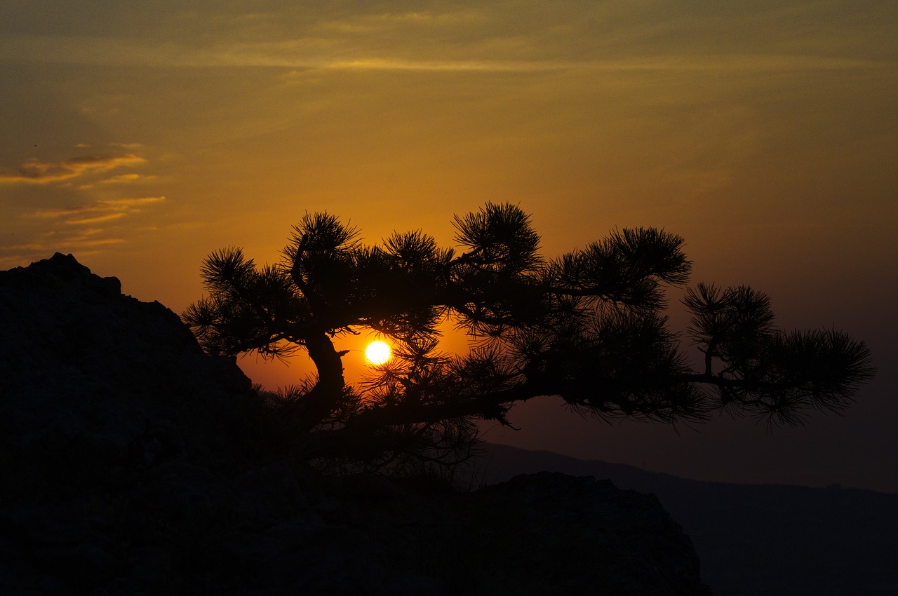 crimea botkin path dawn free photo