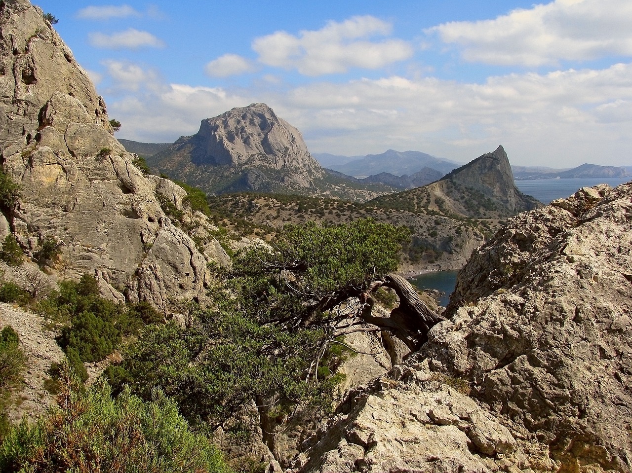 crimea  summer  new light free photo