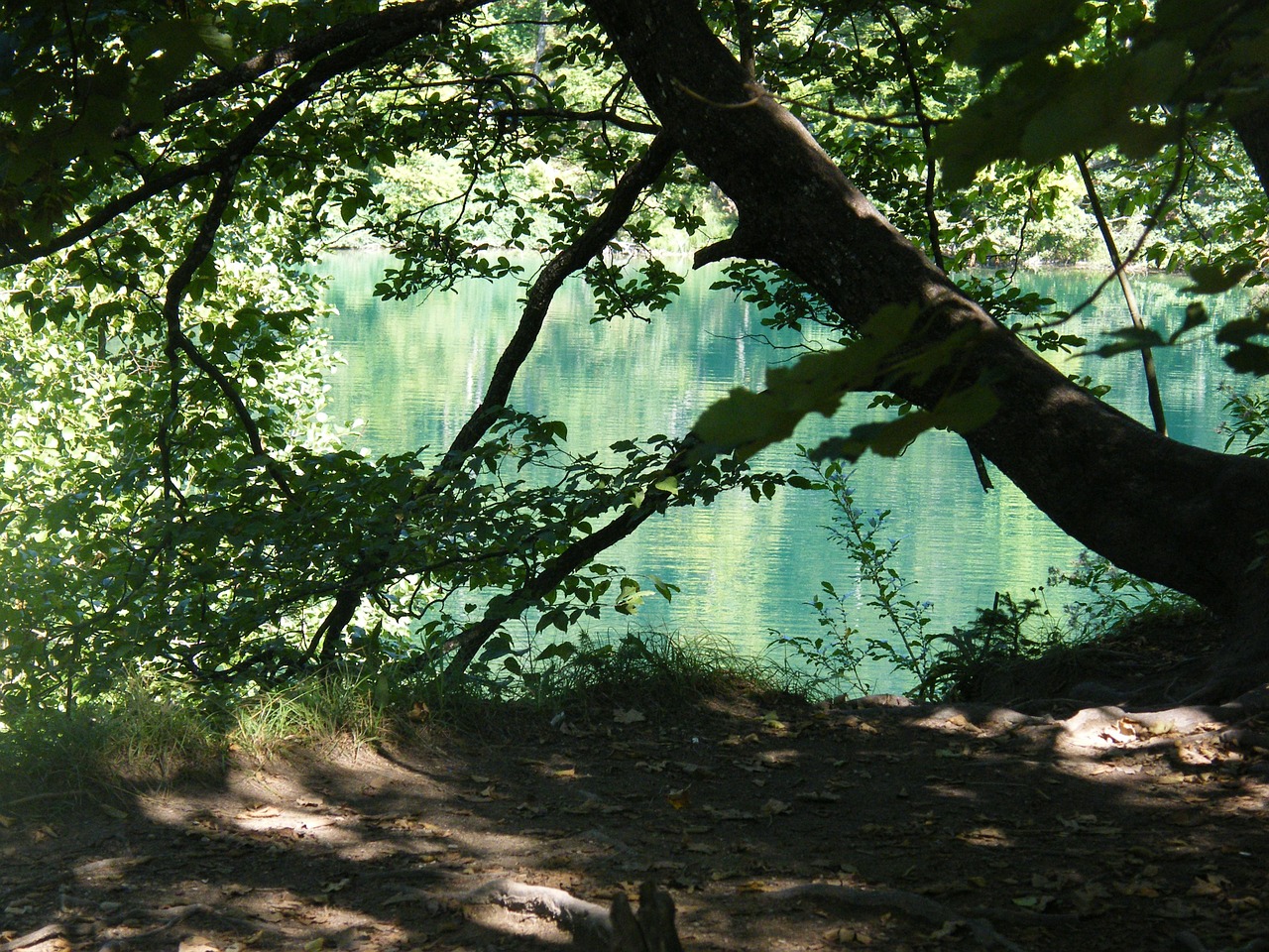 croatia plittvice lake free photo