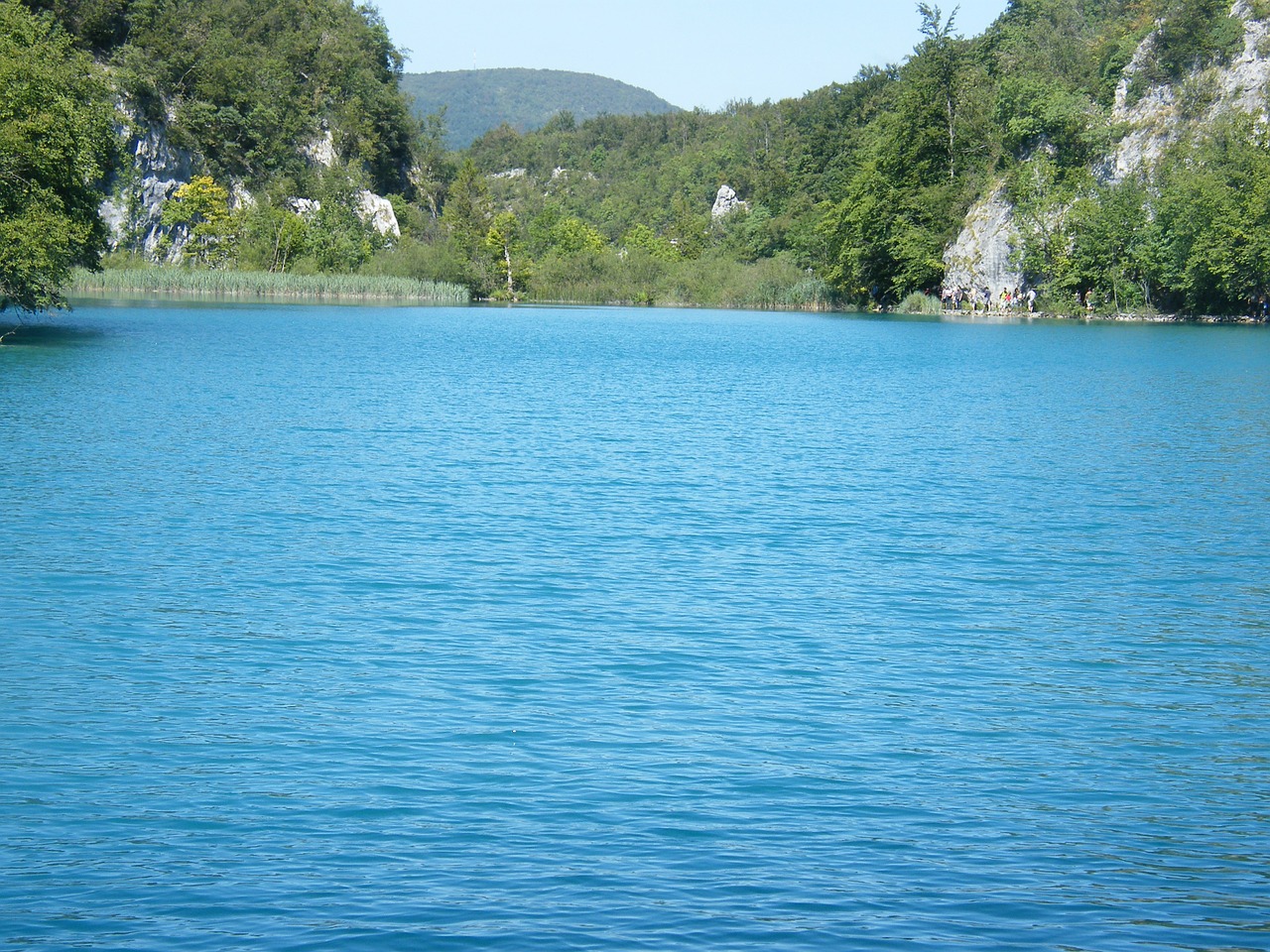 croatia plittvice lakes free photo