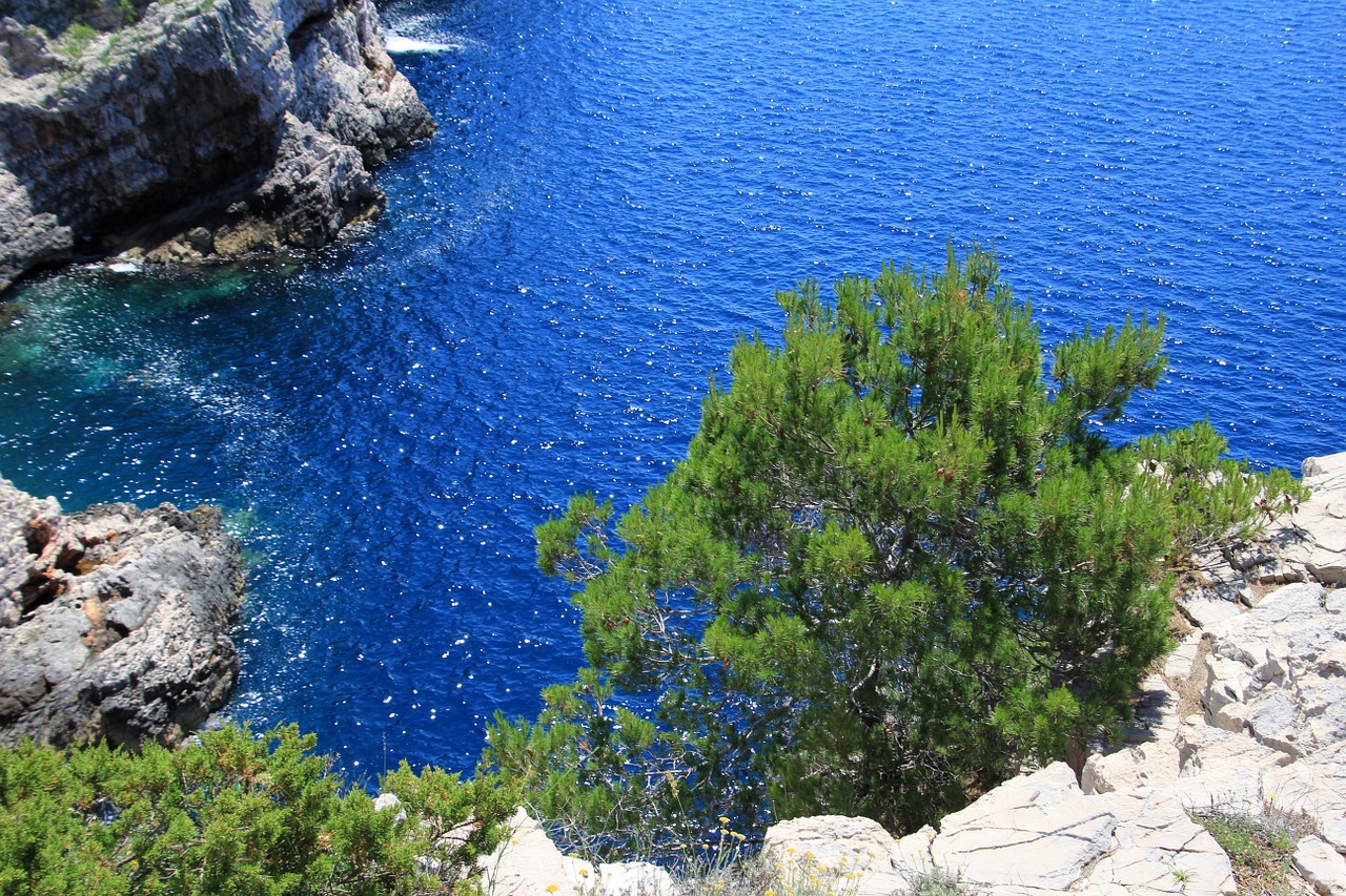 croatia coast cliff free photo