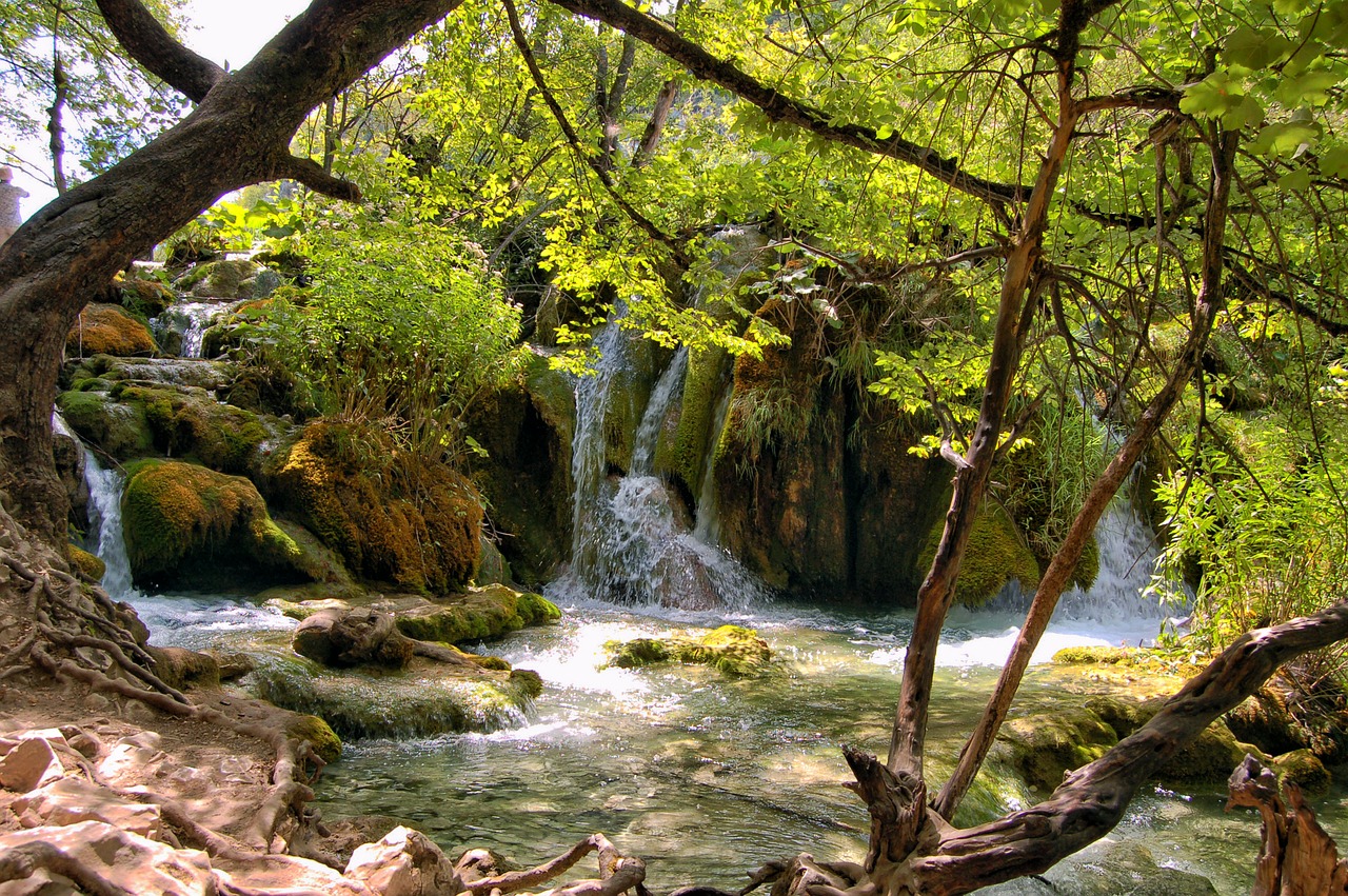 croatia plitvice national park free photo