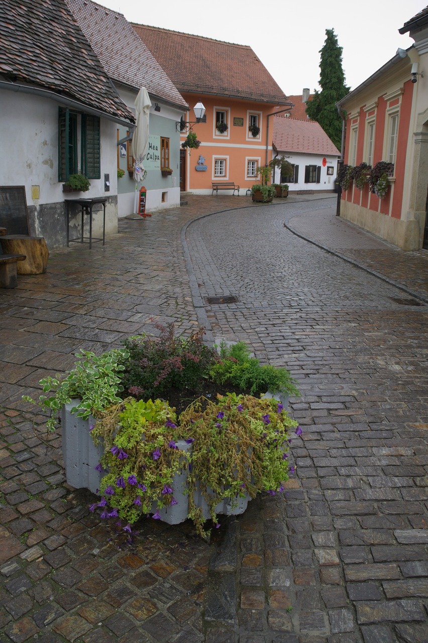 croatia varaždin old town free photo