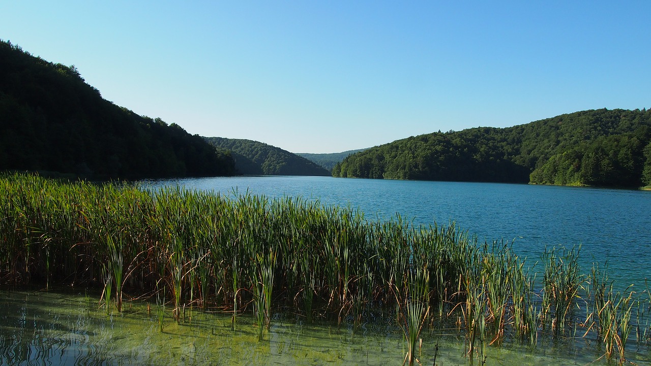 croatia plitvice lakes water free photo