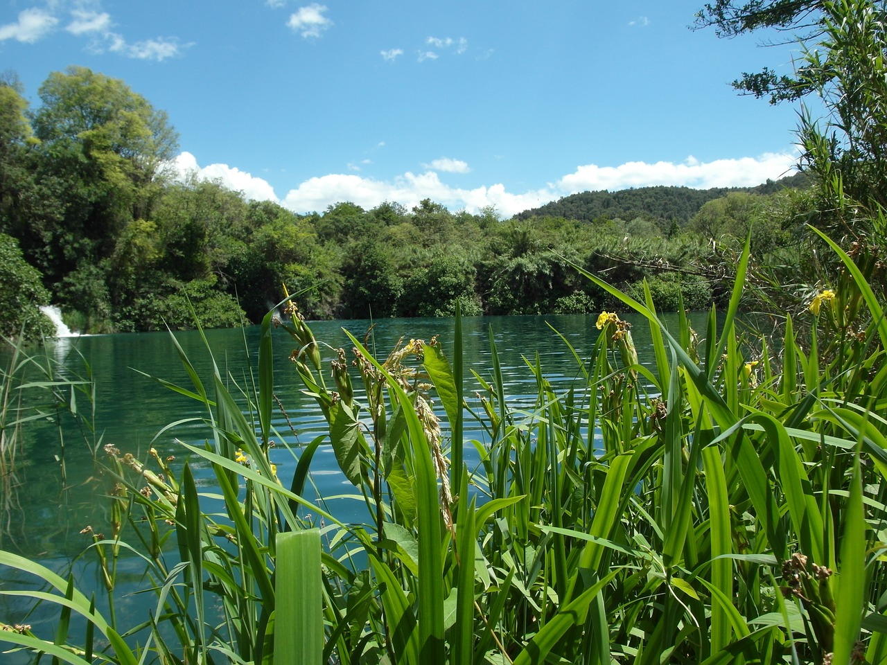 croatia water national park free photo