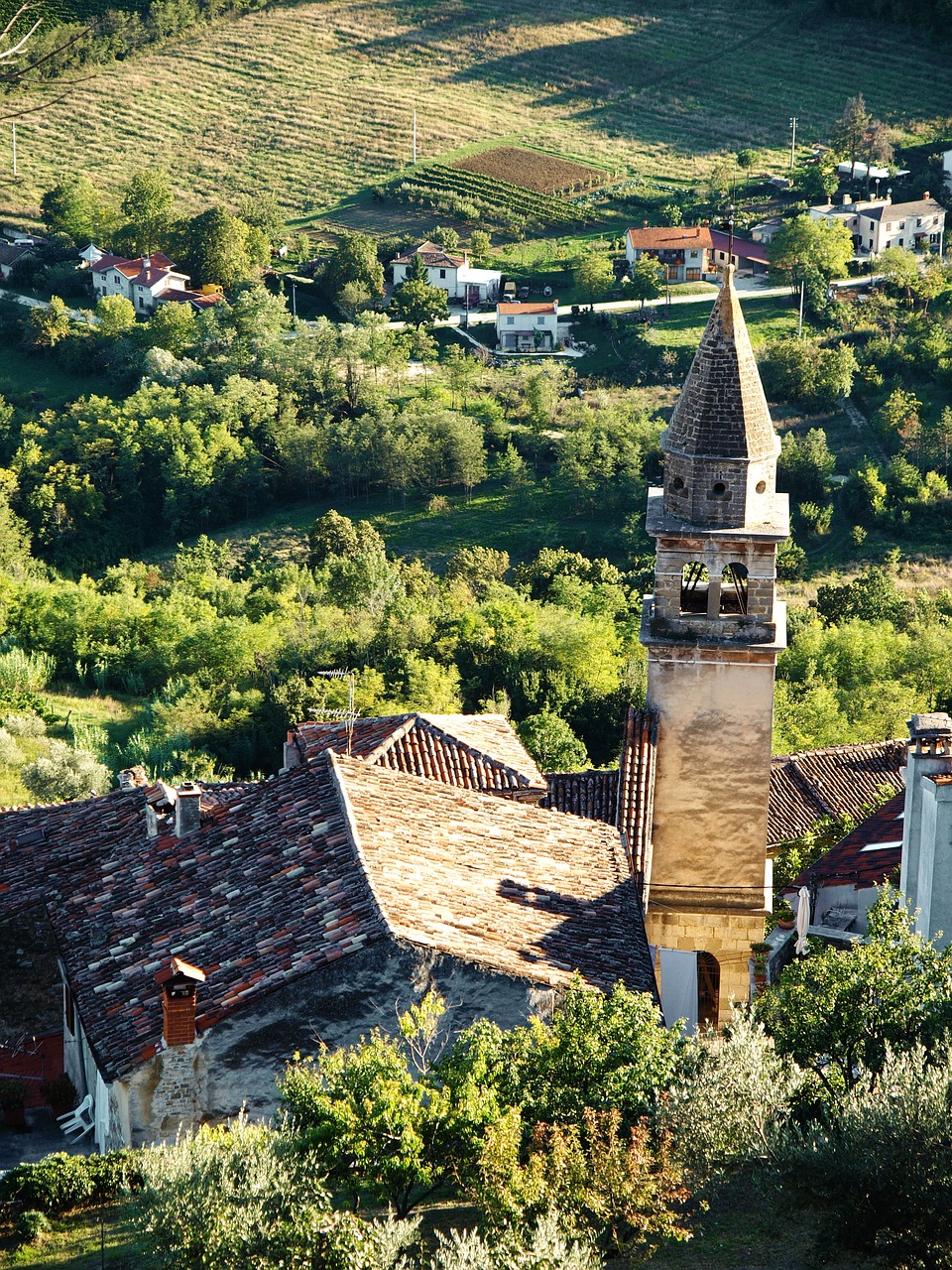 croatia holiday motovun free photo