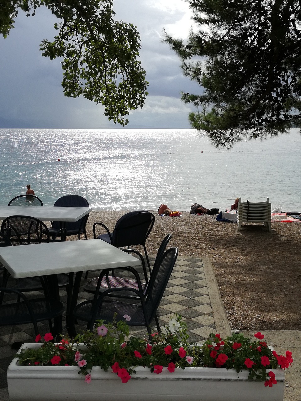 croatia riviera makarska free photo