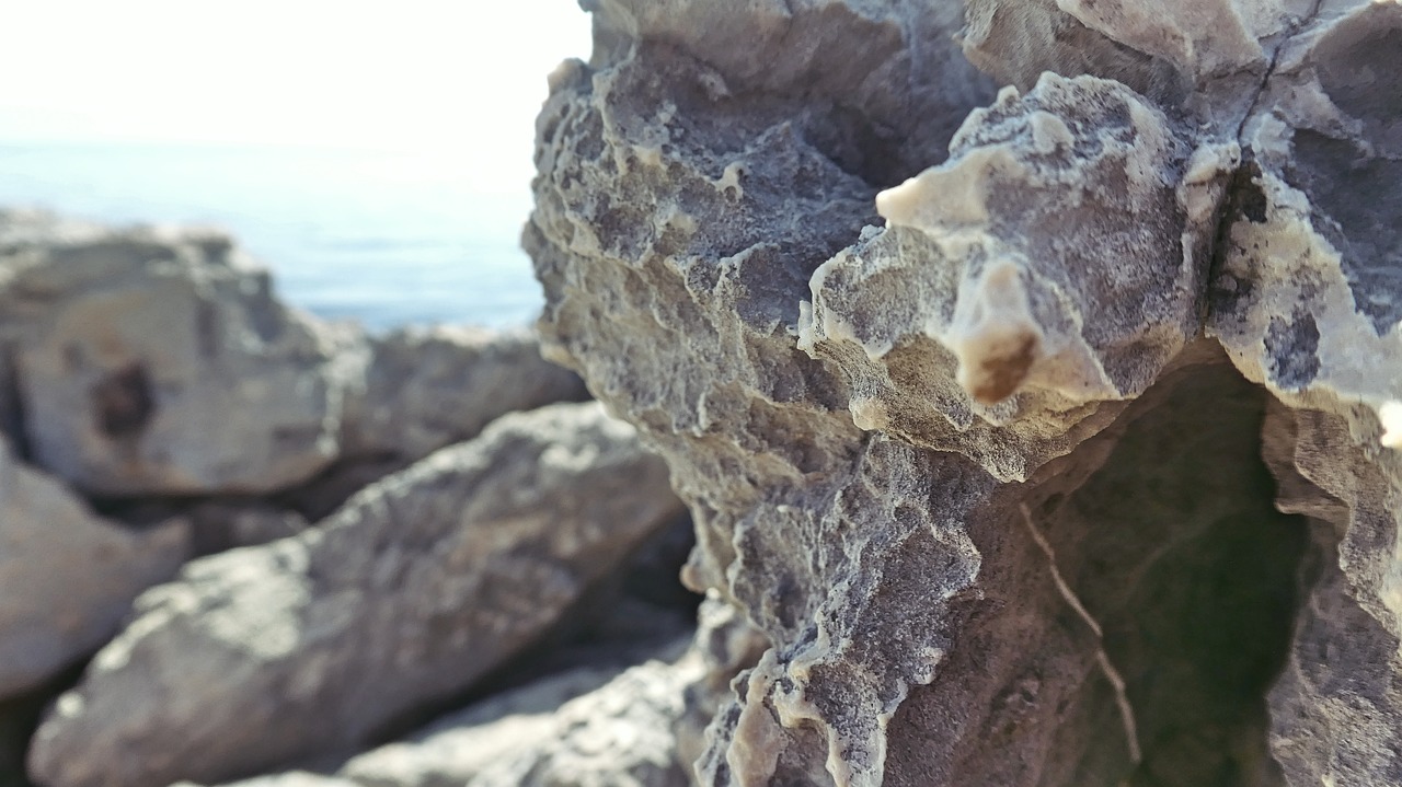 croatia  rock  depth of field free photo