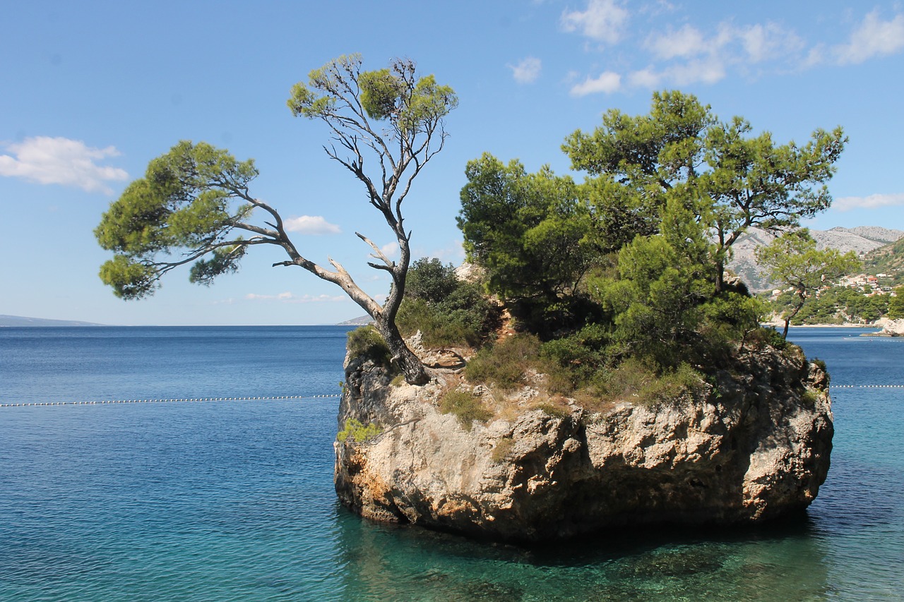 croatia sea bay free photo