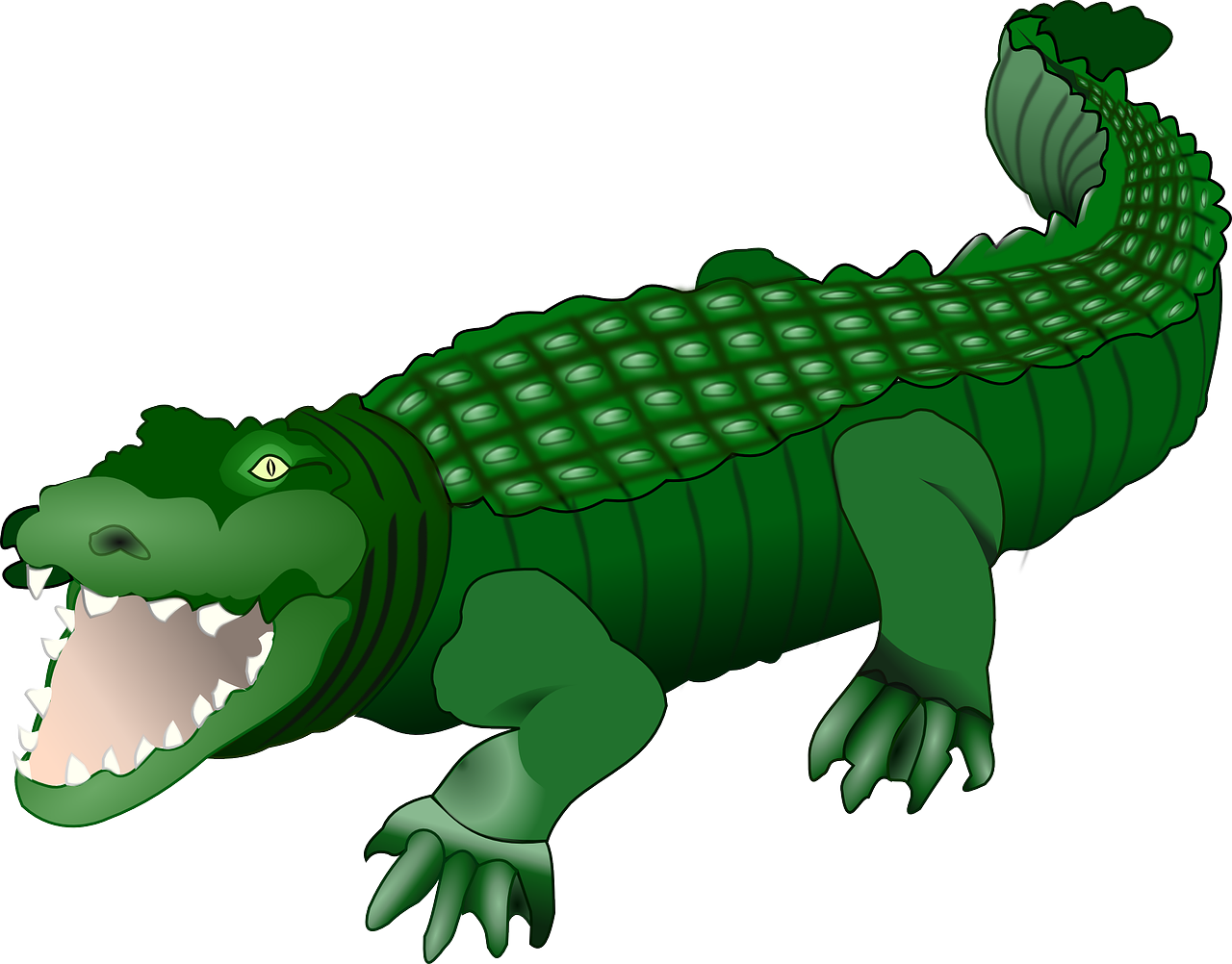 crocodile alligator animal free photo