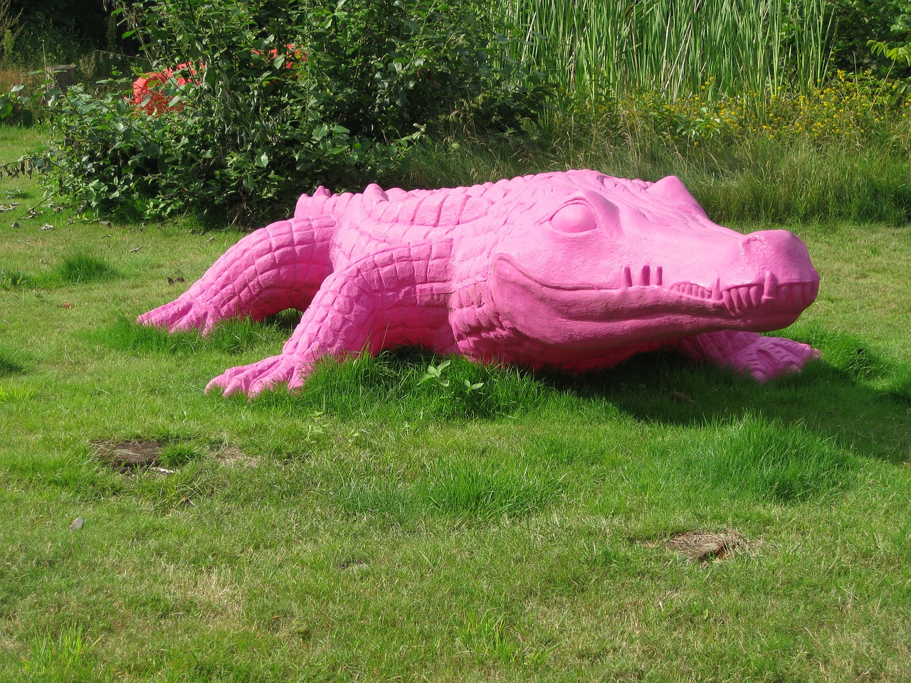 crocodile pink dangerous free photo