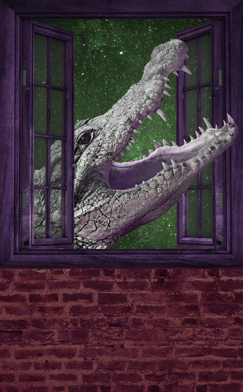 crocodile window alligator free photo