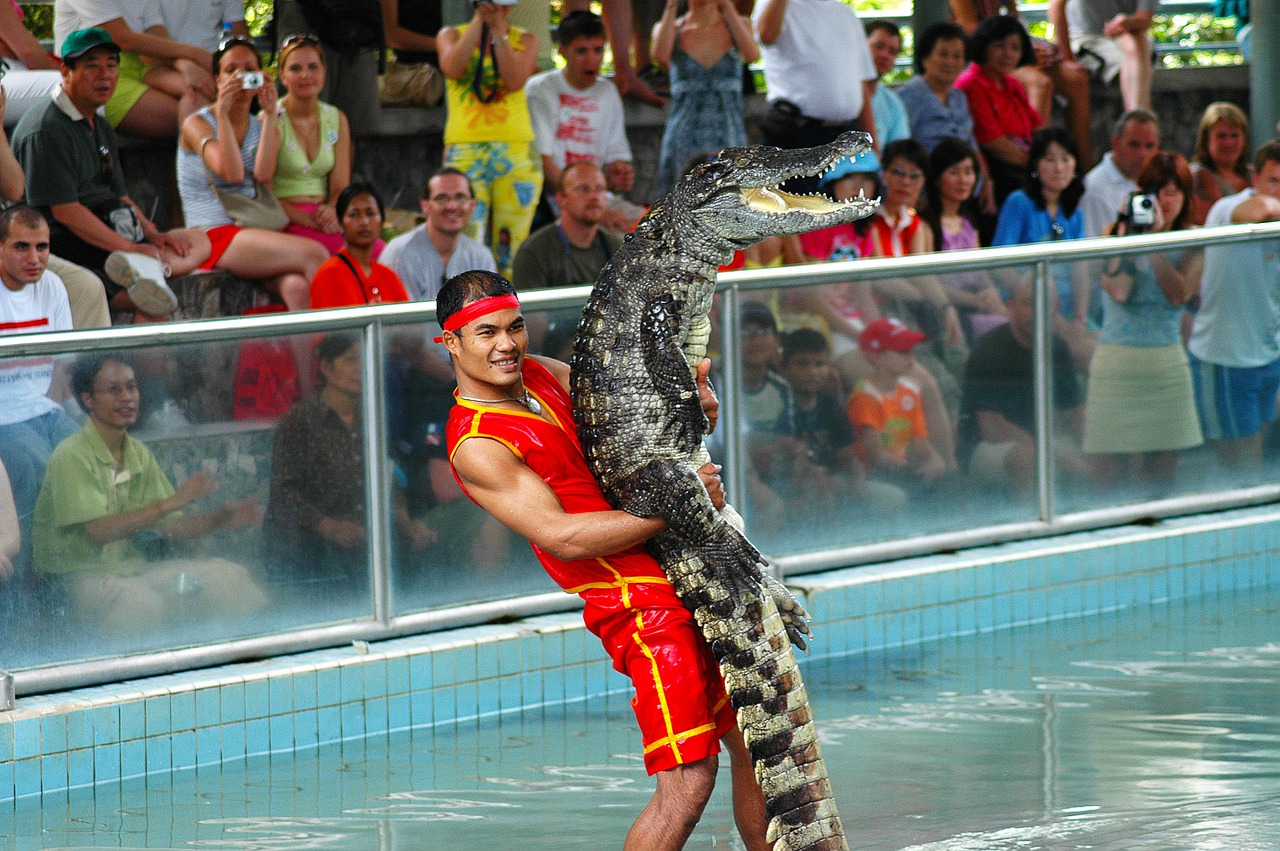 crocodile band million year stone park thailand free photo