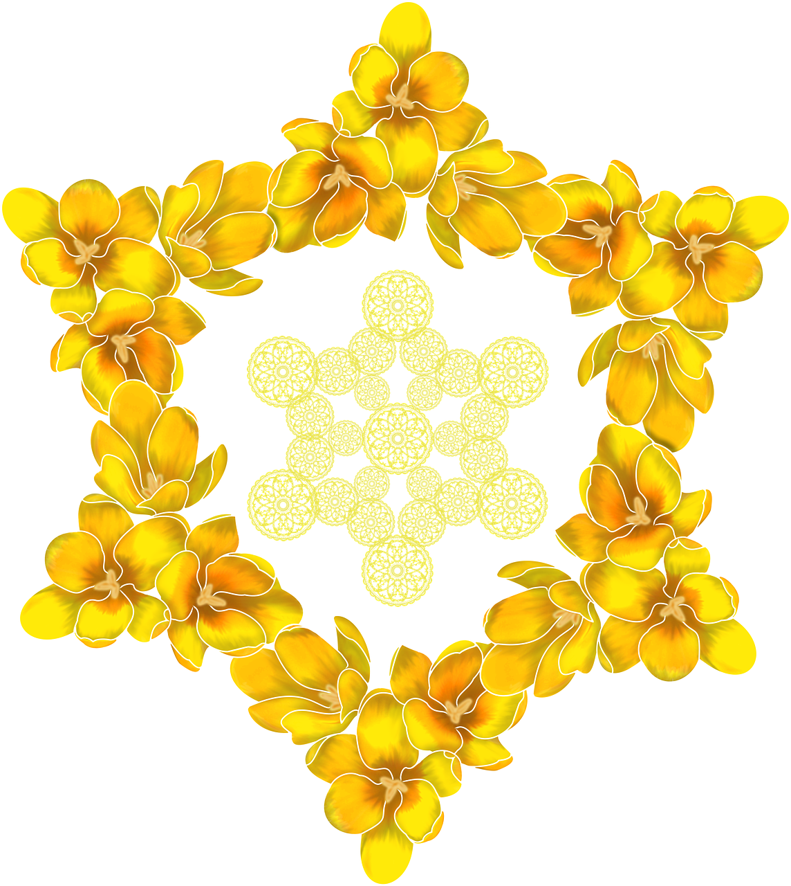 crocus  hexagram  yellow free photo