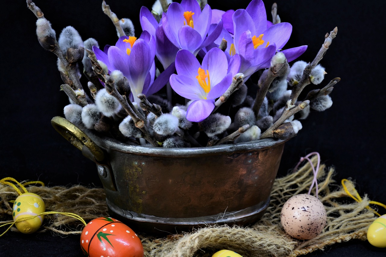 crocus  palm branches  easter free photo