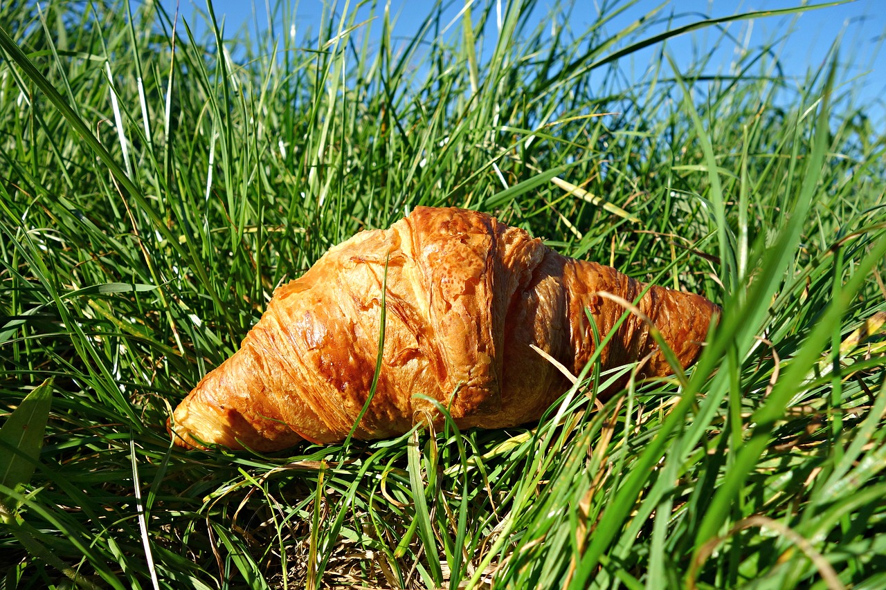 croissant roll bread free photo