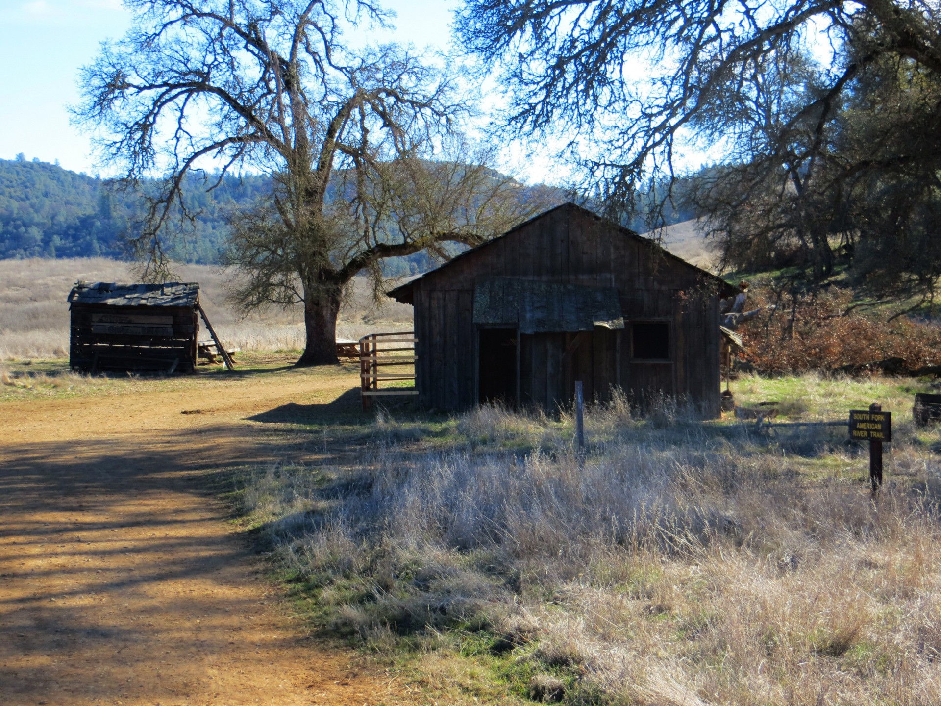 cabin gold rush california free photo