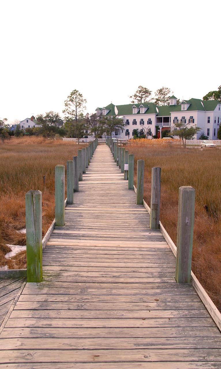 crooked walk manteo marsh free photo