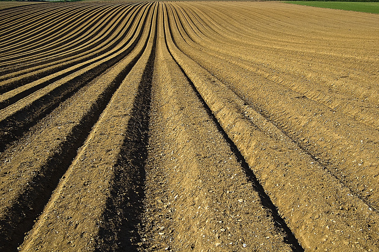 crop furrows soil free photo