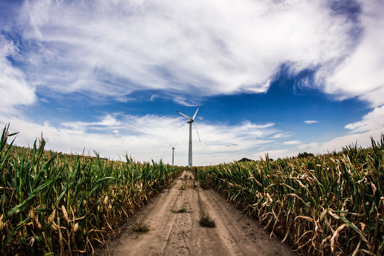 crops windmill corn free photo