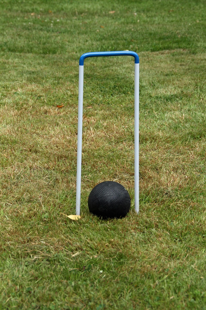 croquet wooden balls hoop free photo
