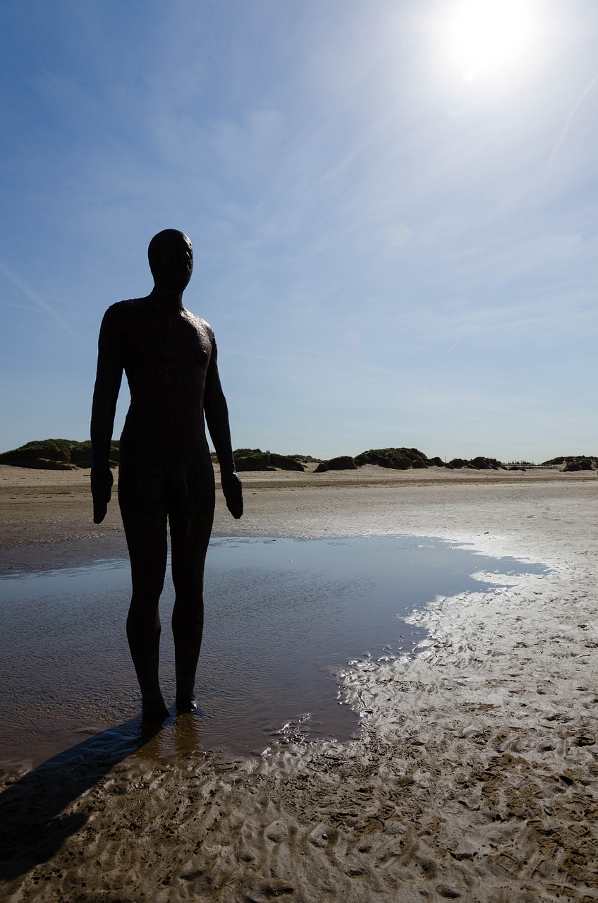 crosby antony gormley gormley free photo