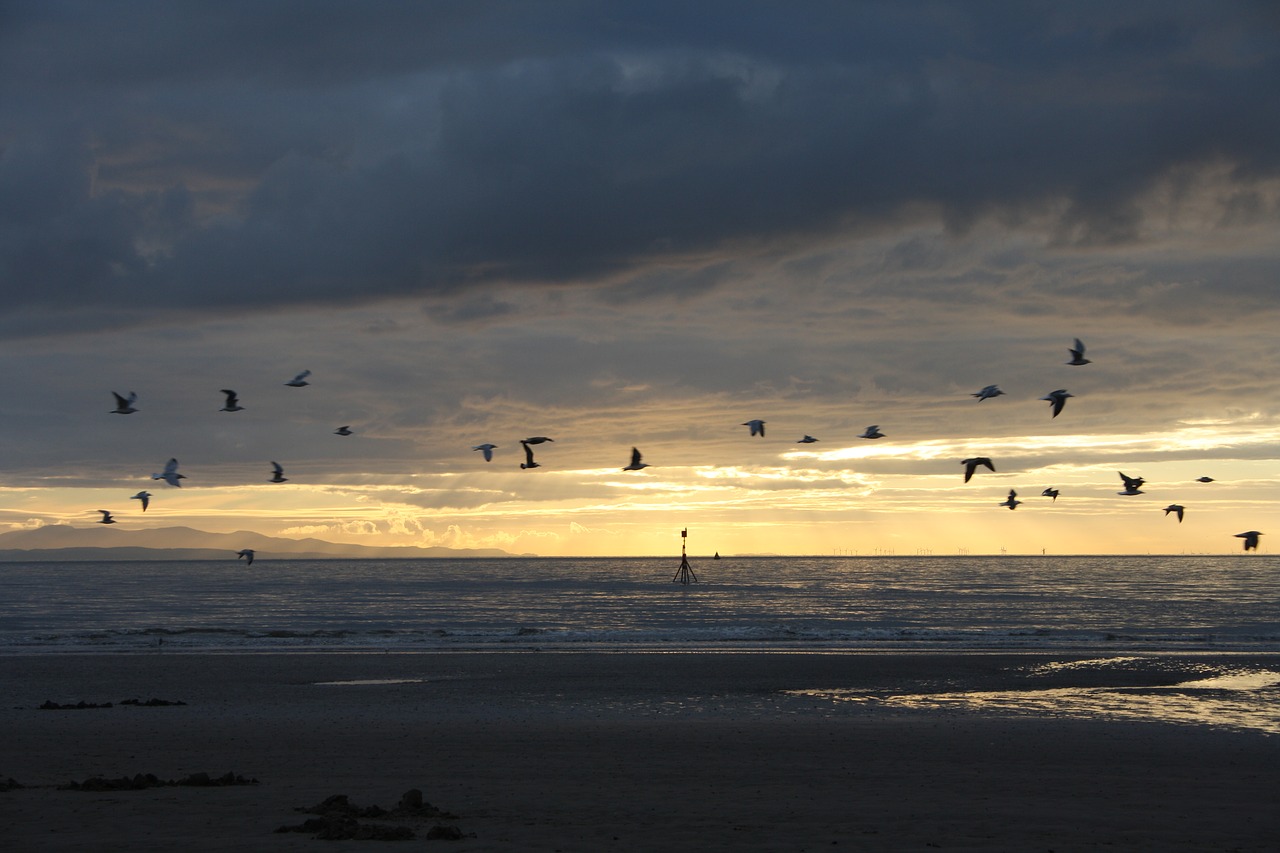 crosby  beach  liverpool free photo