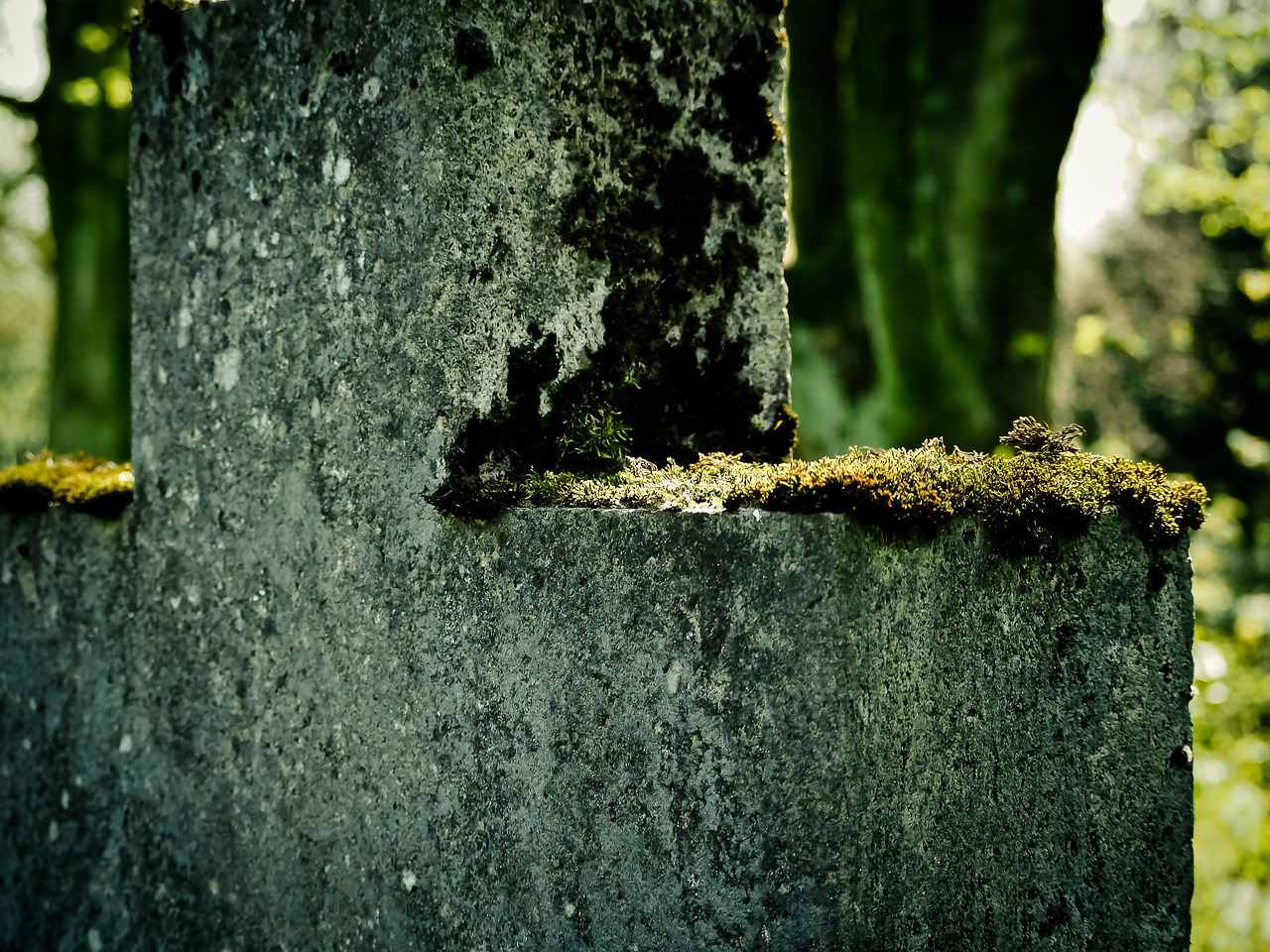 cross moss stone cross free photo