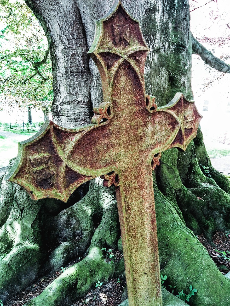 cross cemetery tree free photo