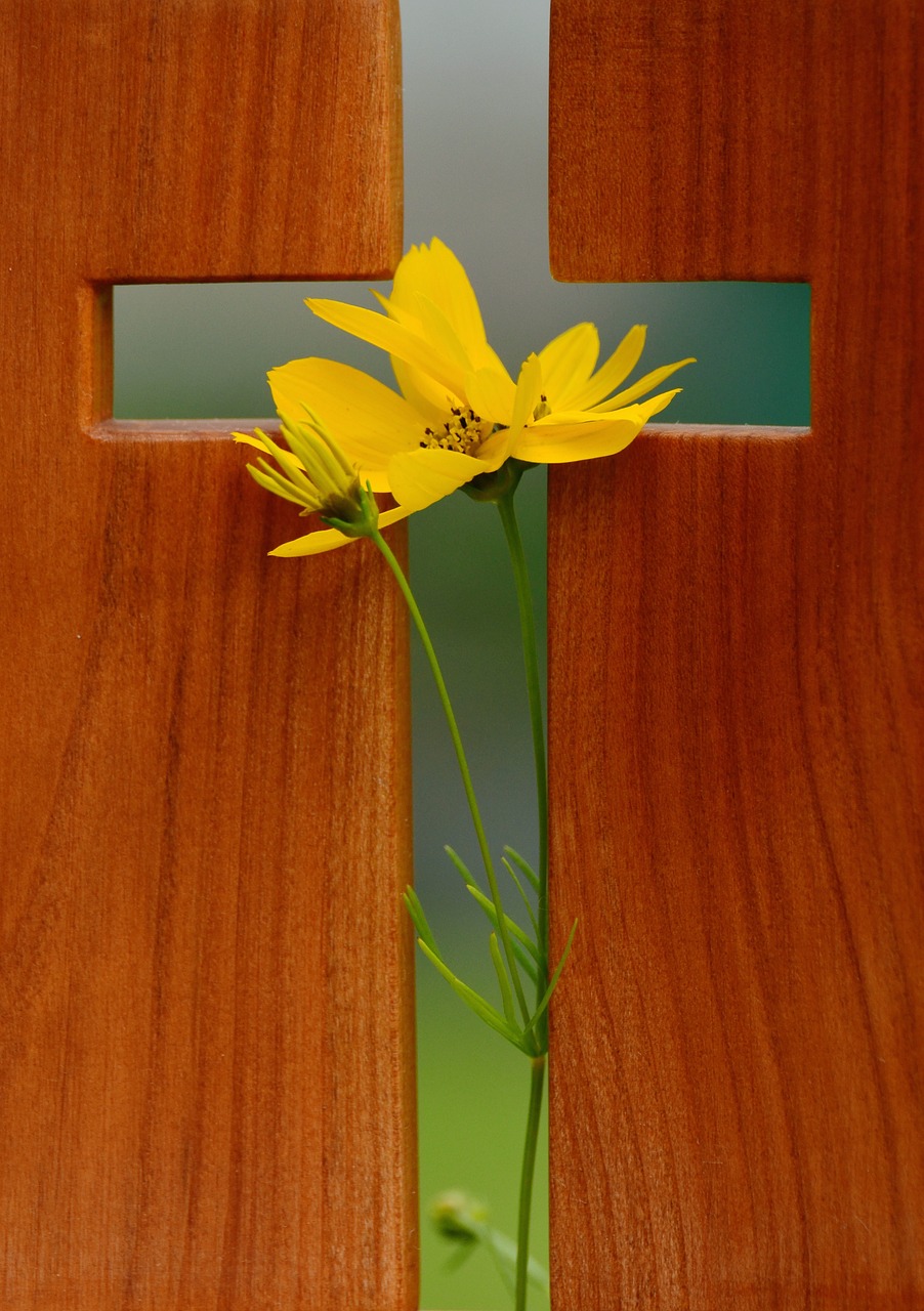 cross symbol christian faith free photo