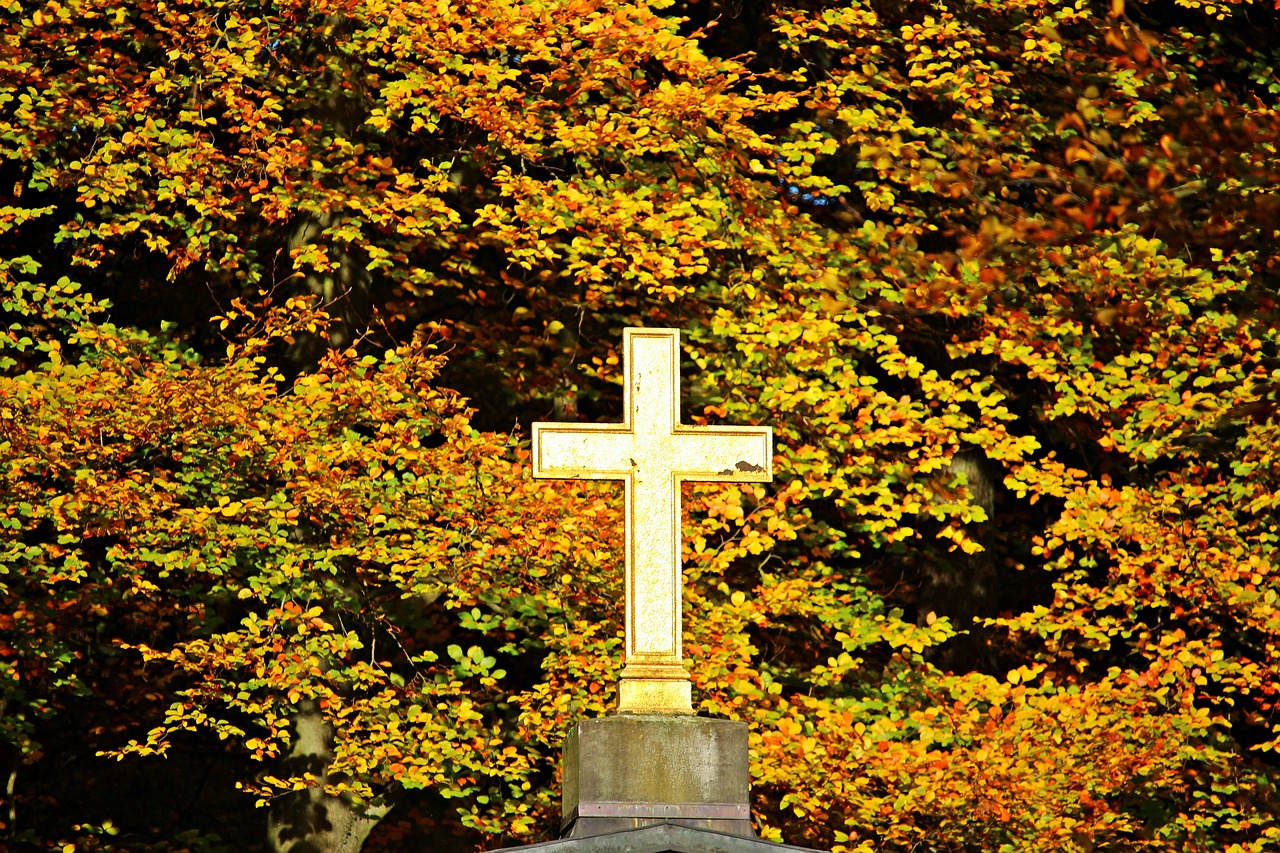 cross autumn fall foliage free photo