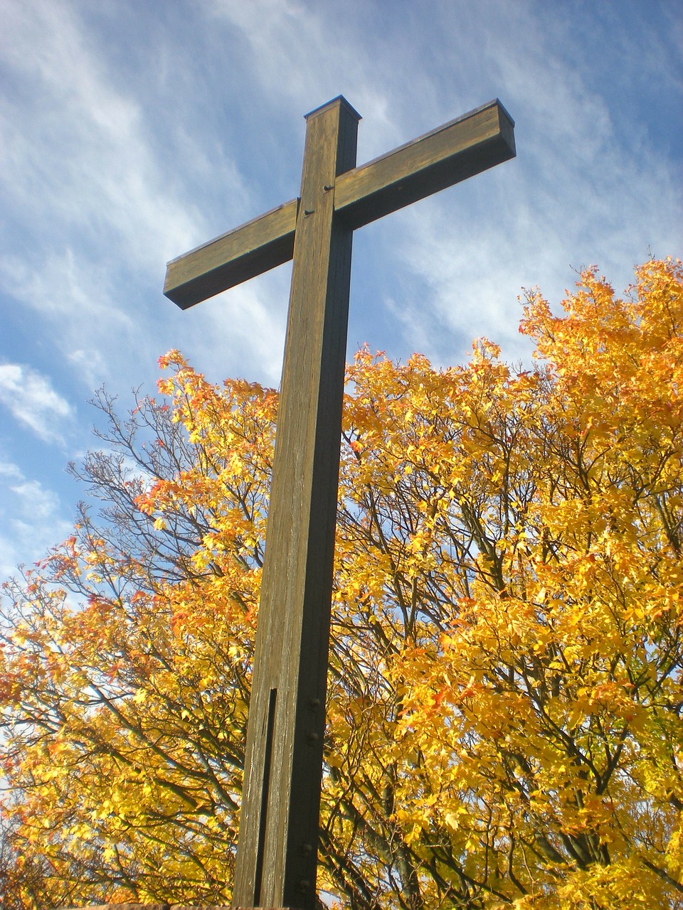 cross tree autumn free photo