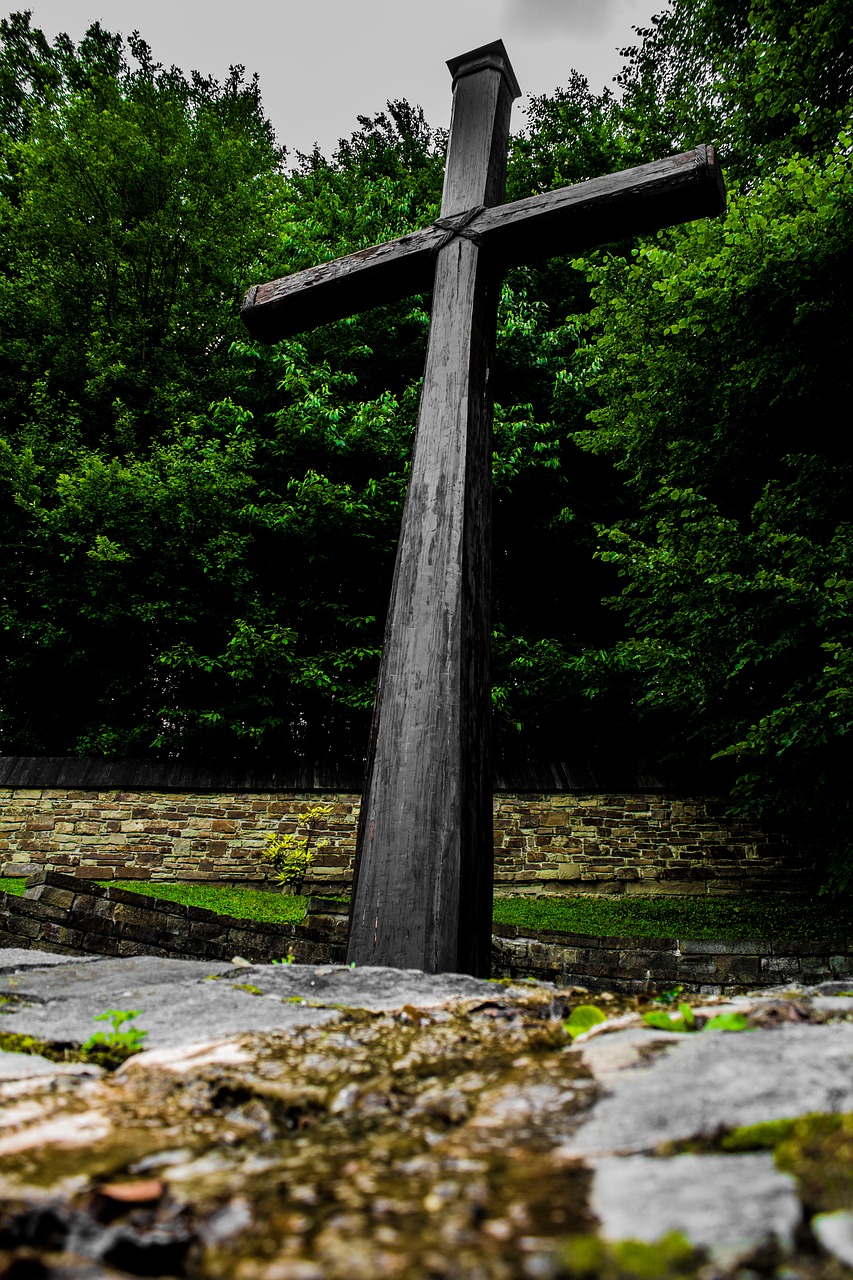 cross trees slovakia free photo