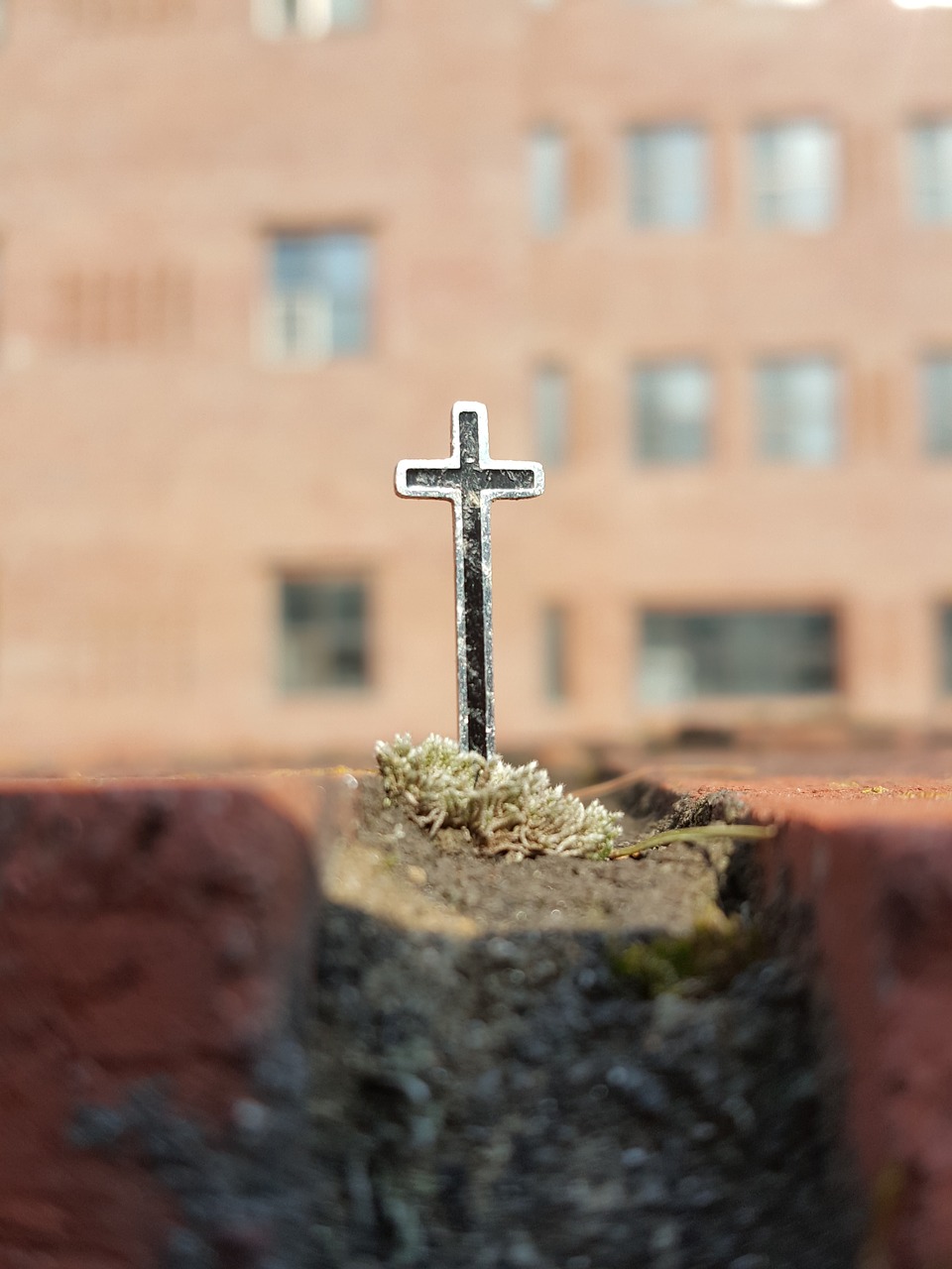 cross  christian  christ free photo