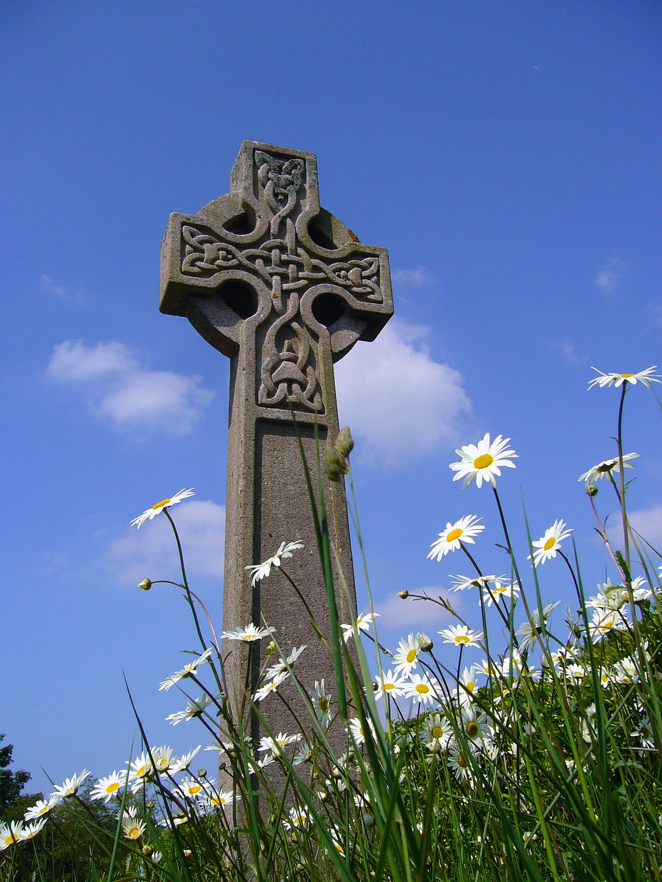 cross celtic memorial free photo