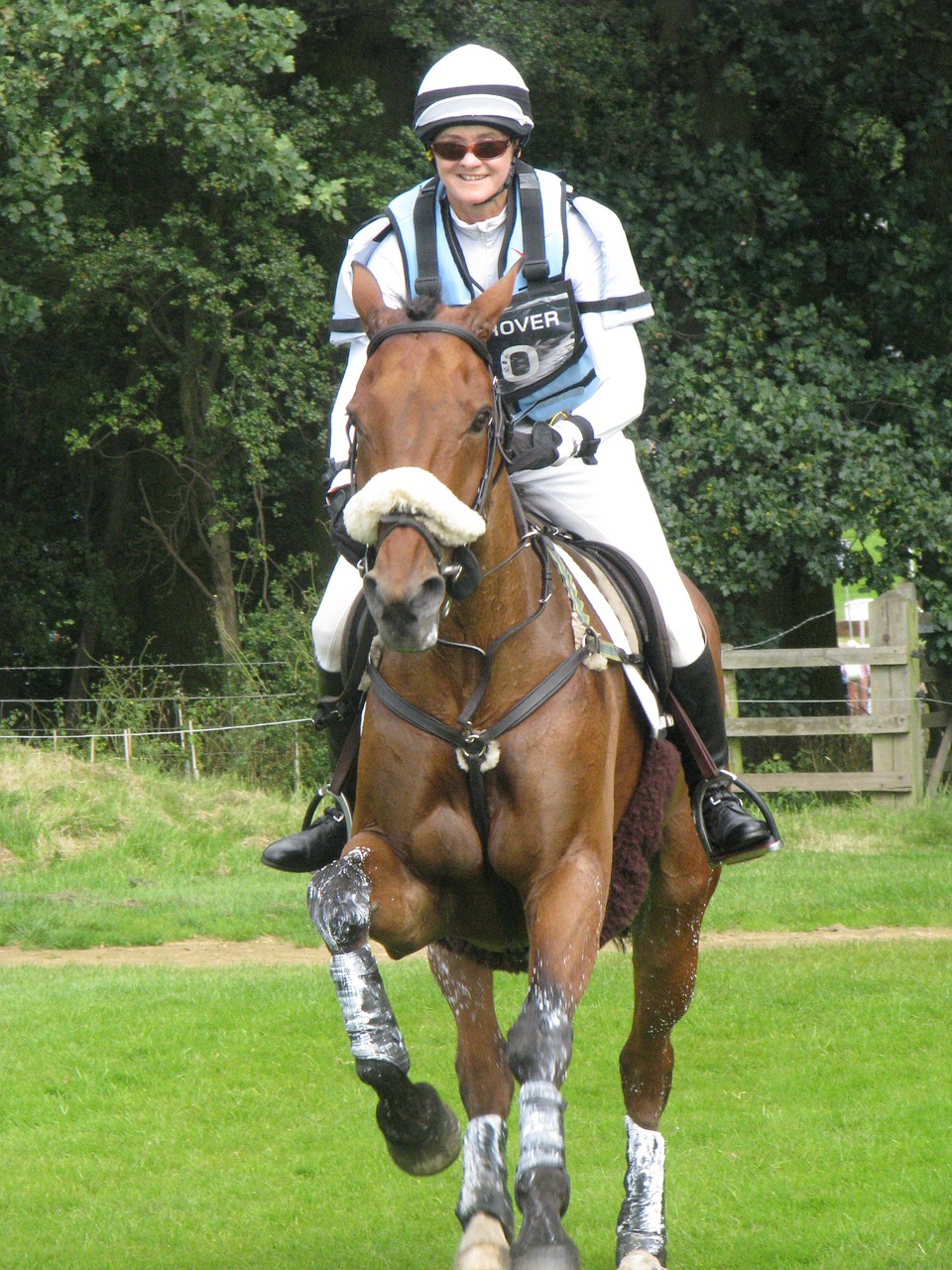 cross country horse rider free photo