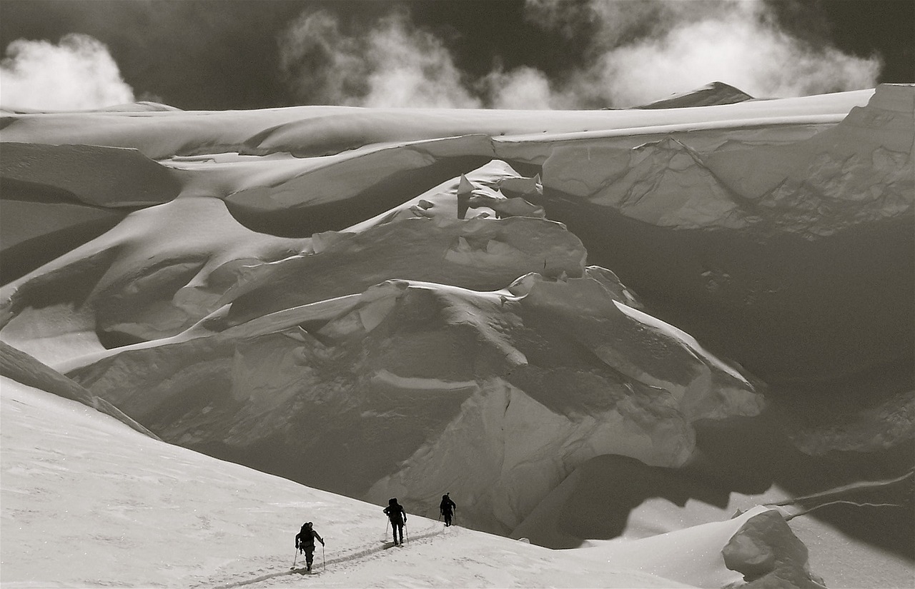 cross country skiers snow silhouettes free photo